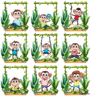 Monkeys in the wooden frame - 901148417