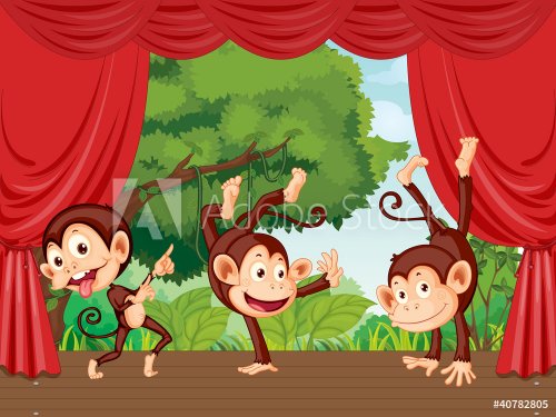 Monkeys on stage - 900460685