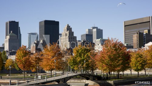 Montreal, Quebec, Canada, skyline on a beautiful Fall day - 901149895