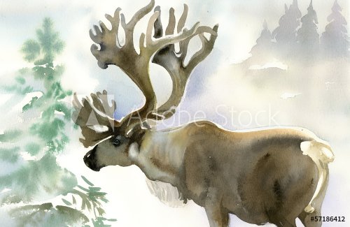Moose in winter forest