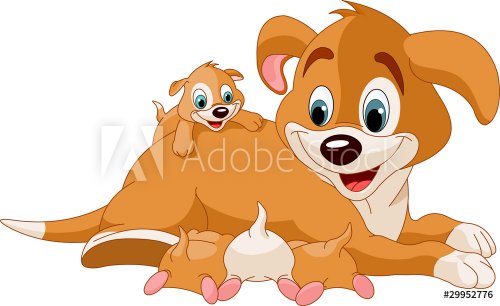 Mother dog  nursing cute puppies - 900498028