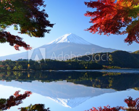 Mt. Fuji in the Autumn from Lake Kawaguchi, Japan - 901142732
