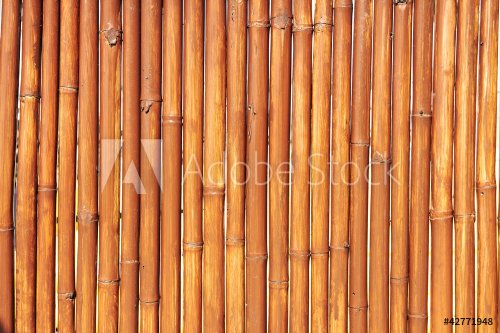 Natural bamboo background - 900456829