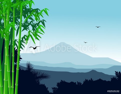 nature background with bamboo tree - 900461266