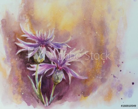 Nature background with delicate conflowers.Picture created with watercolors. - 901153762