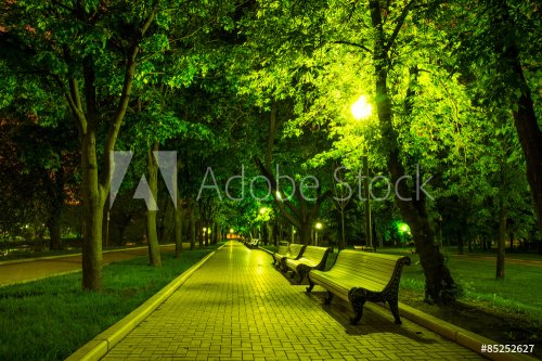 Night Park - 901145519