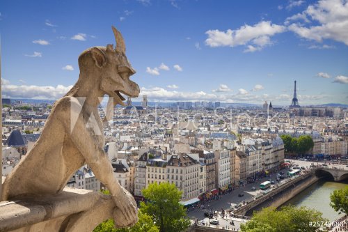 Notre Dame: Chimera (demon) overlooking the Eiffel Tower - 901144524