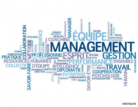 Nuage de Tags MANAGEMENT (équipe gestion ressources humaines)