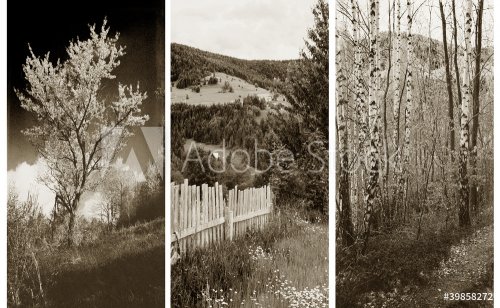 old traditional photography - Rural views, triptych - 900128661