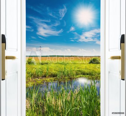open door with a view of green meadow  - 901142205