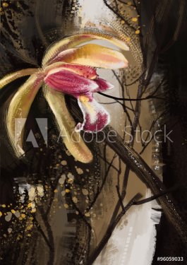 orchid flowers - Stock Image - 901151912