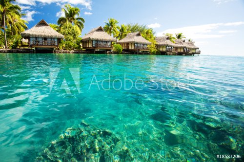Over water bungalows with steps into green lagoon - 900004224