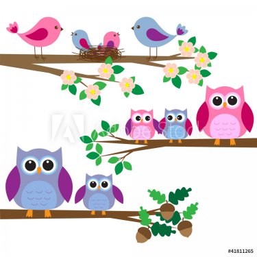 Owls and birds - 901145425
