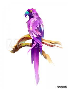 painted colored seated bird parrot on white background