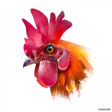 painted head of a cock on white background - 901153507