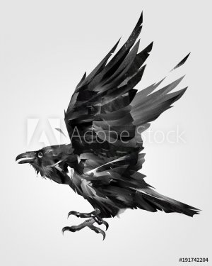 painted isolated flying bird raven on the side - 901153540