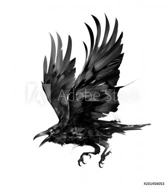 painted isolated flying bird rook on the side - 901153439