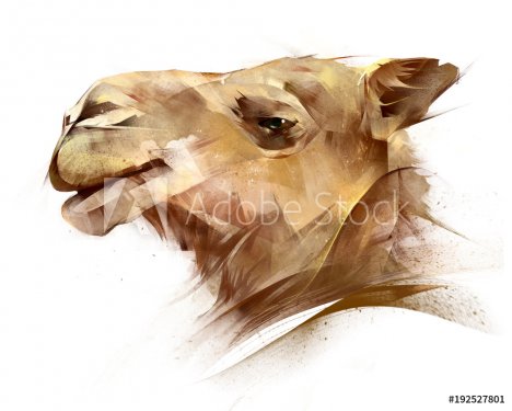 painted portrait of an animal camel on the side - 901153517