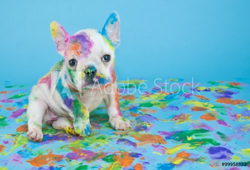 Painted Puppy - 901147654