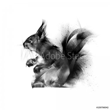 painted sitting squirrel on white background - 901153530
