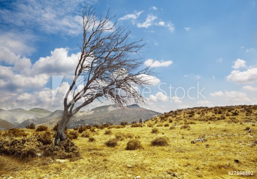 paisaje dramatizado con arbol seco contra el cielo azul - 900400465