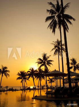 Palm forest silhouettes on sunrise - 900071121