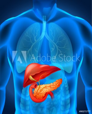 Pancreas cancer in human body