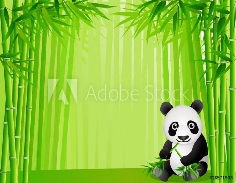 Panda and bamboo forest - 900488374