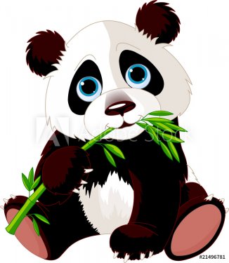 Panda eating bamboo - 900497835