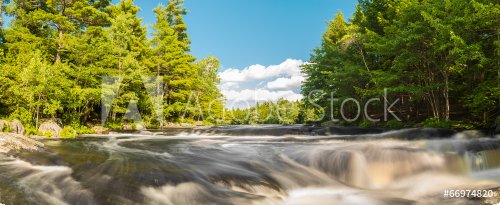 Panorama of a river in the forest