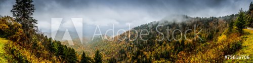 Panorama of Mountains in Fall with Fog - 901144625