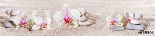 Panorama with orchids and zen stones in the sand - 901145302