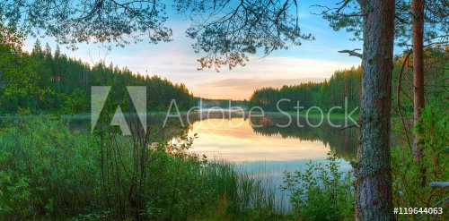 Panoramic beautiful landscape of the lake surrounded by forest in the night. - 901148218