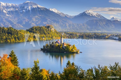Panoramic view of Lake Bled from Mt. Osojnica, Slovenia - 901149330