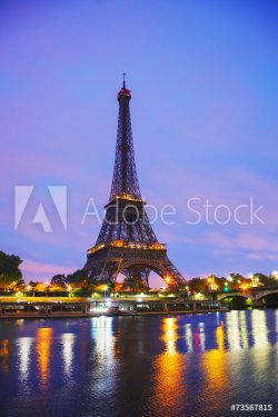 Paris cityscape with Eiffel tower - 901144519