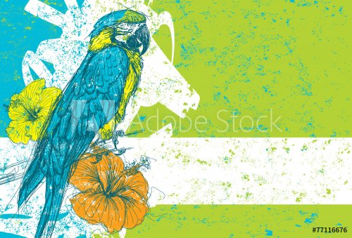 Parrot with hibiscus flowers - 901143766