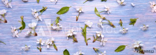 Patern Texture of Spring Flowers on the background of an old vintage blue board
