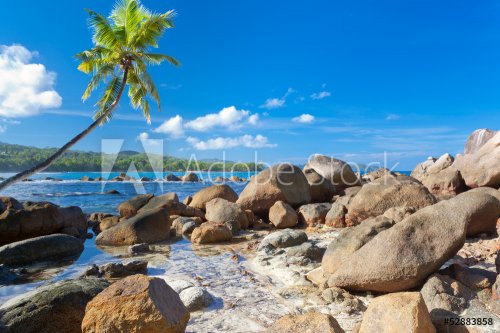 paysage des Seychelles, lagon, rochers et cocotier