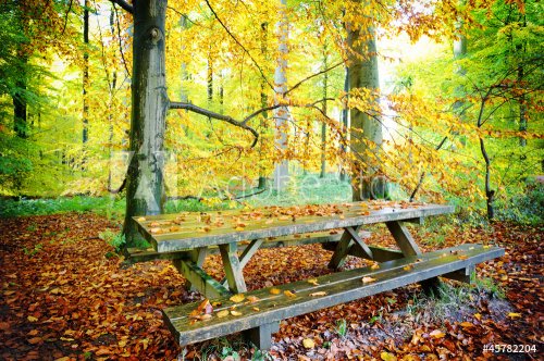 Picnic place in autumn forest - 901140035