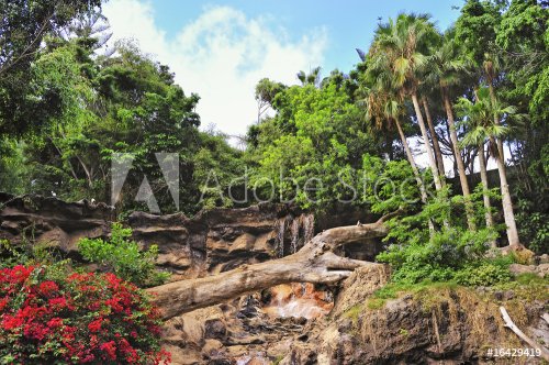 Picture of a tropical background - 901138040