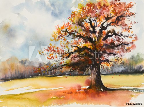 Picture of oak with autum leaves.Picture created with watercolors. - 901153770