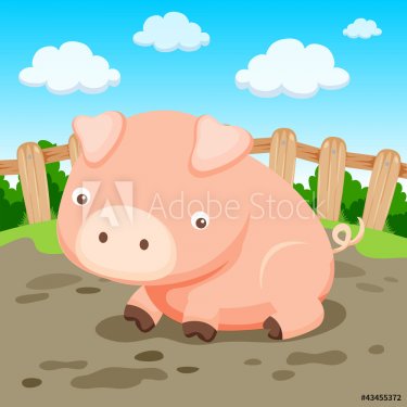 Pig in farm - 900949315