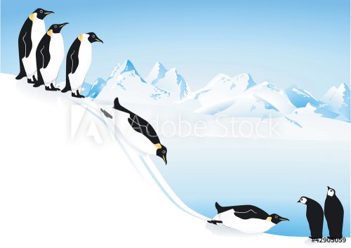Pinguine beim rutschen