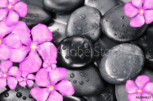 Pink flowers and black stones - 901145308