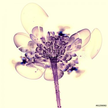 Pink light fractal flower, digital artwork