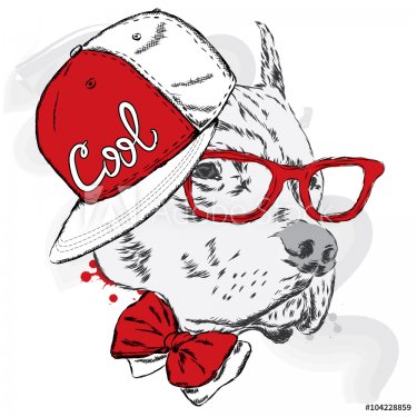 Pitbull in cap and tie. Dog vector. Cool dog.