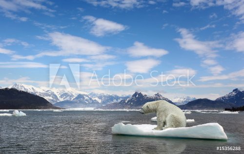 Polar bear and golbar warming