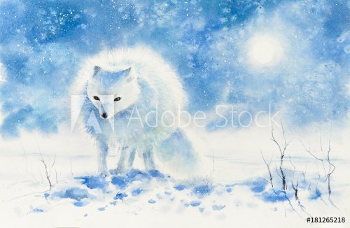 Polar fox in col winter day.Picture created with watercolors. - 901153752