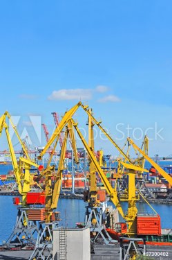Port cargo crane and container over blue sky background - 901145595