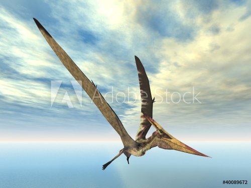 Pteranodon - 900458981